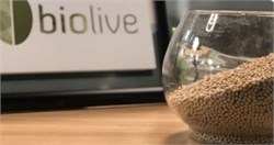 Environmentally Friendly Bioplastics Created From Olive Seeds